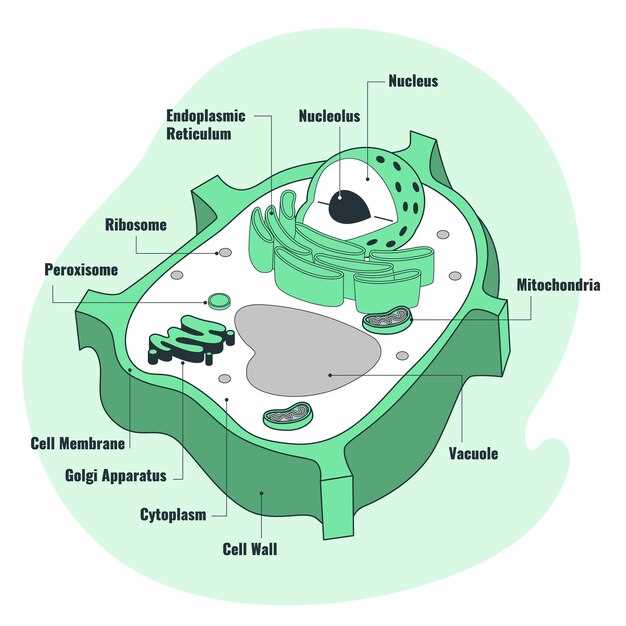 What is ic metoprolol tartrate